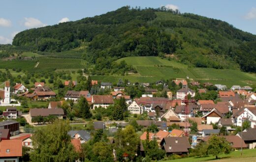 Dorf- und Weinbergrundgang in Maisprach, inkl. Degu/Apéro
