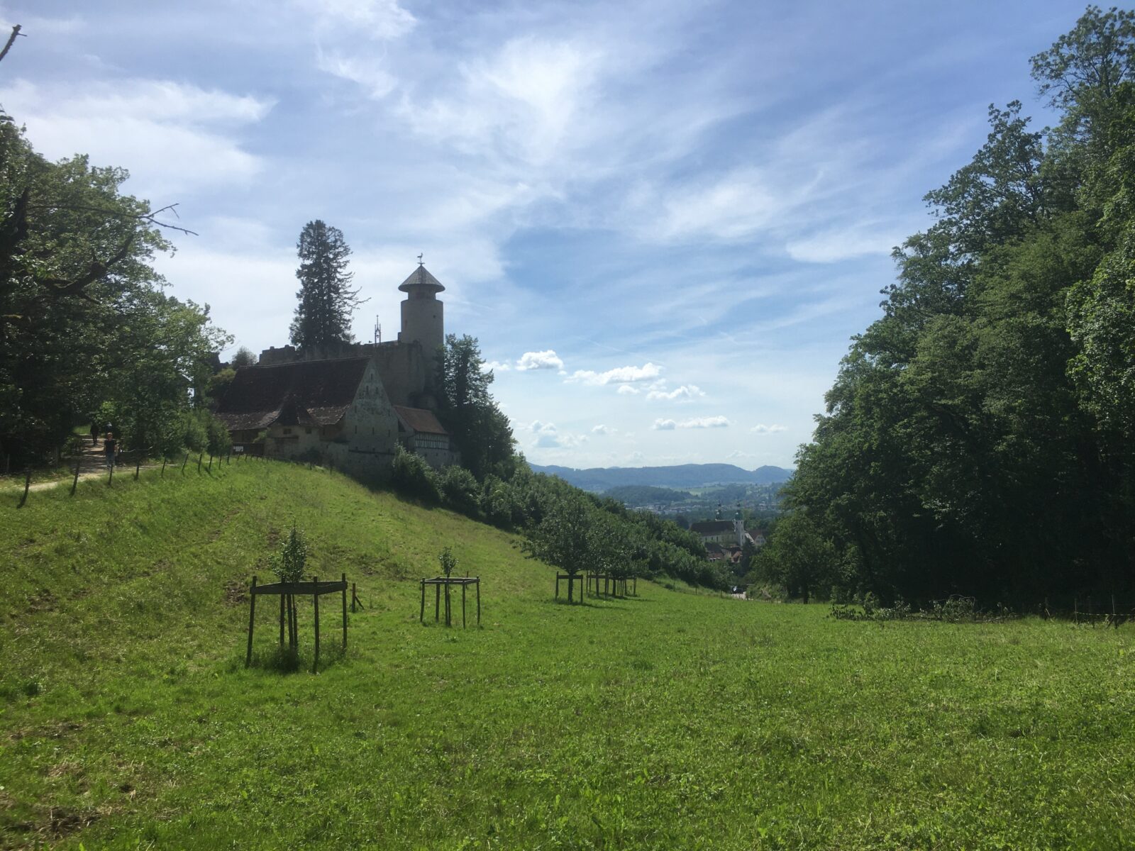 Burg Birseck Sicht Arlesheim