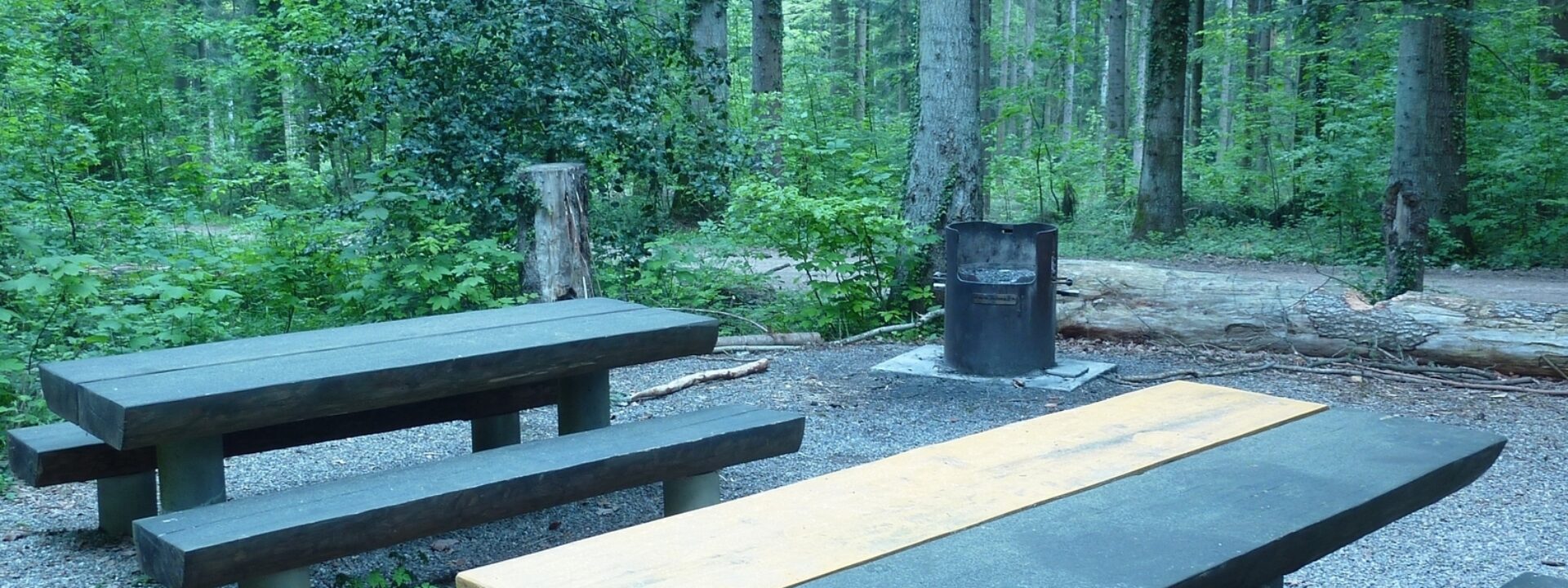 Feuerstelle alte Waldhütte