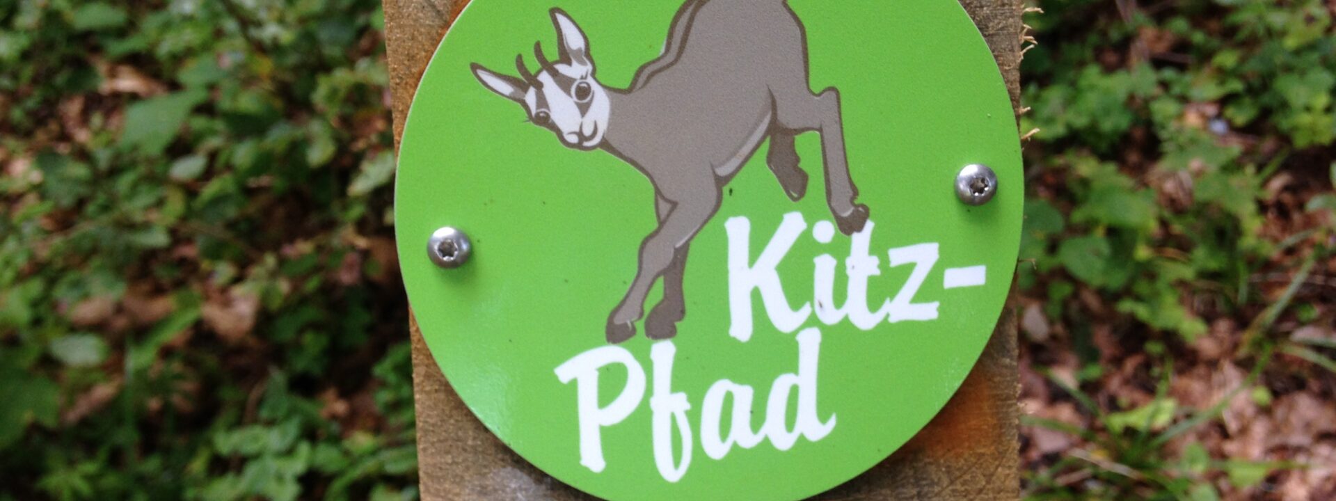 Kitz-Pfad Waldweid