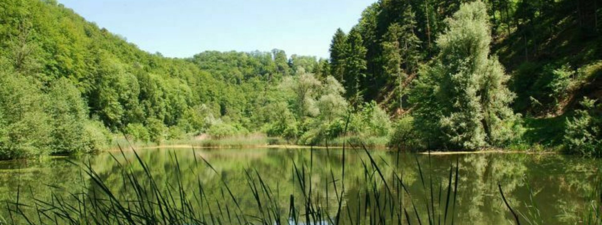 Naturschutzgebiet Talweiher