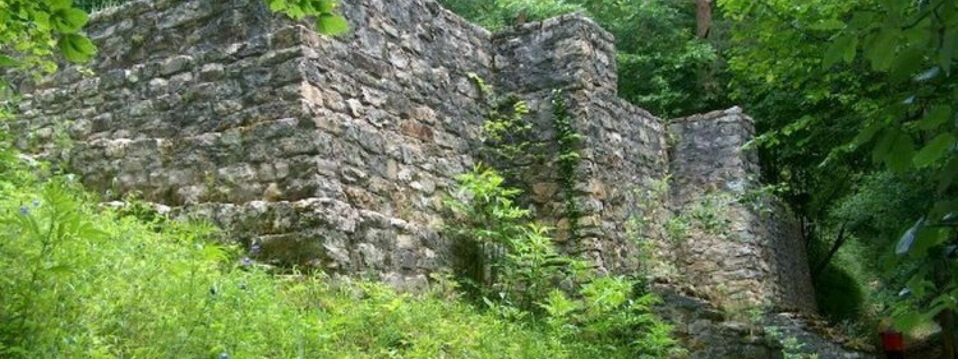 Ruine Burghalden