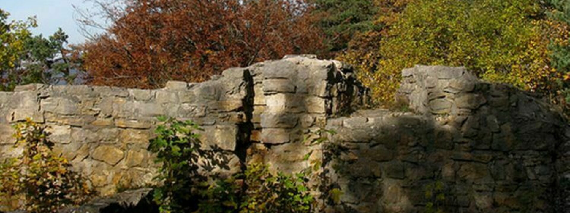Ruine Scheidegg