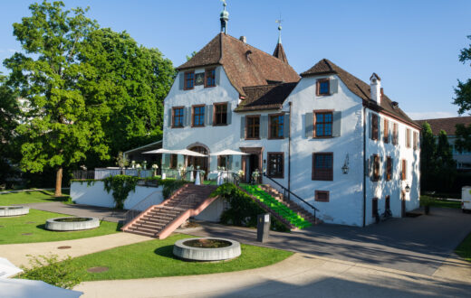 Schloss Binningen, Binningen