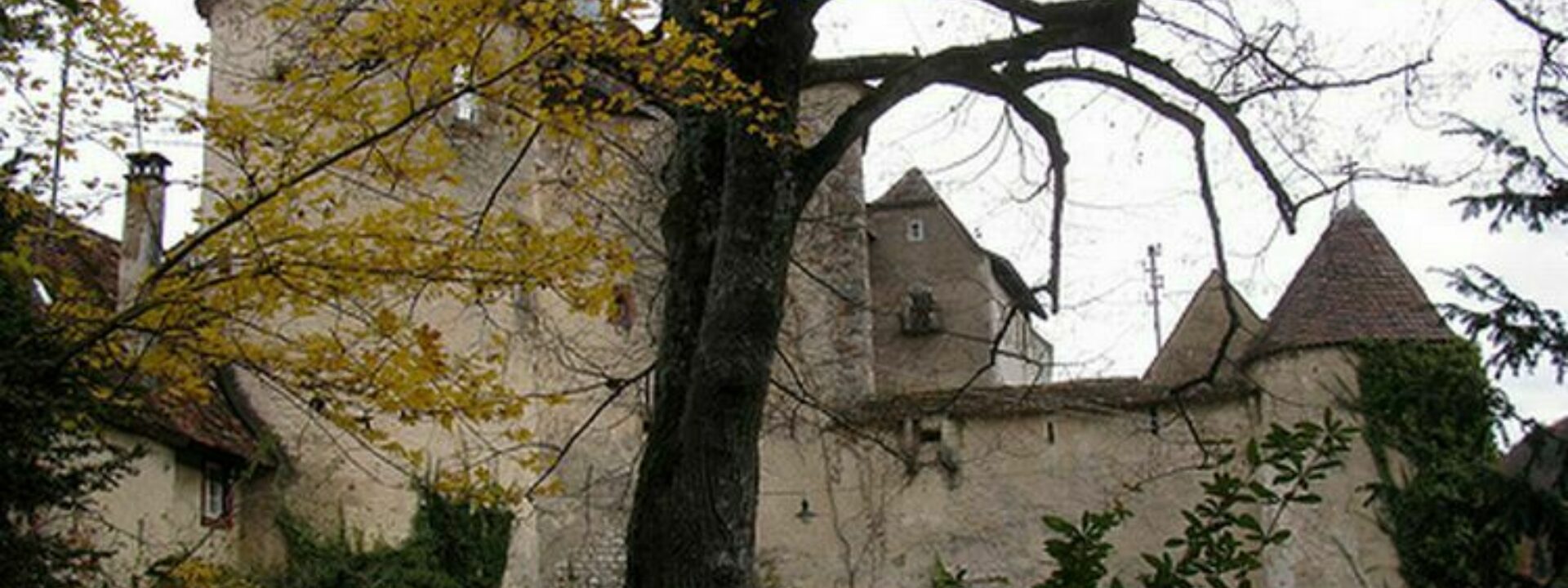 Schloss Burg Biederthal