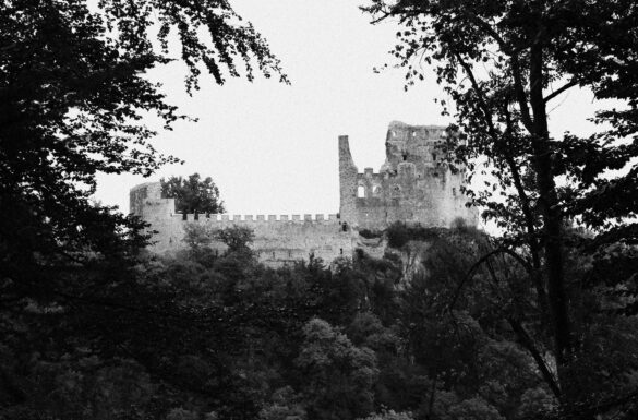 Schloss-Schryber - Burgführungen