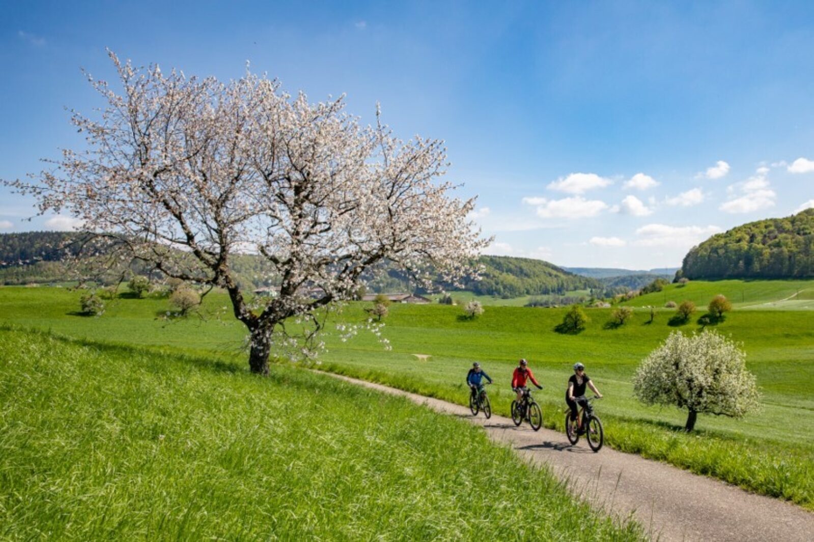Velo E Bike Baselland Hof Route Schweiz